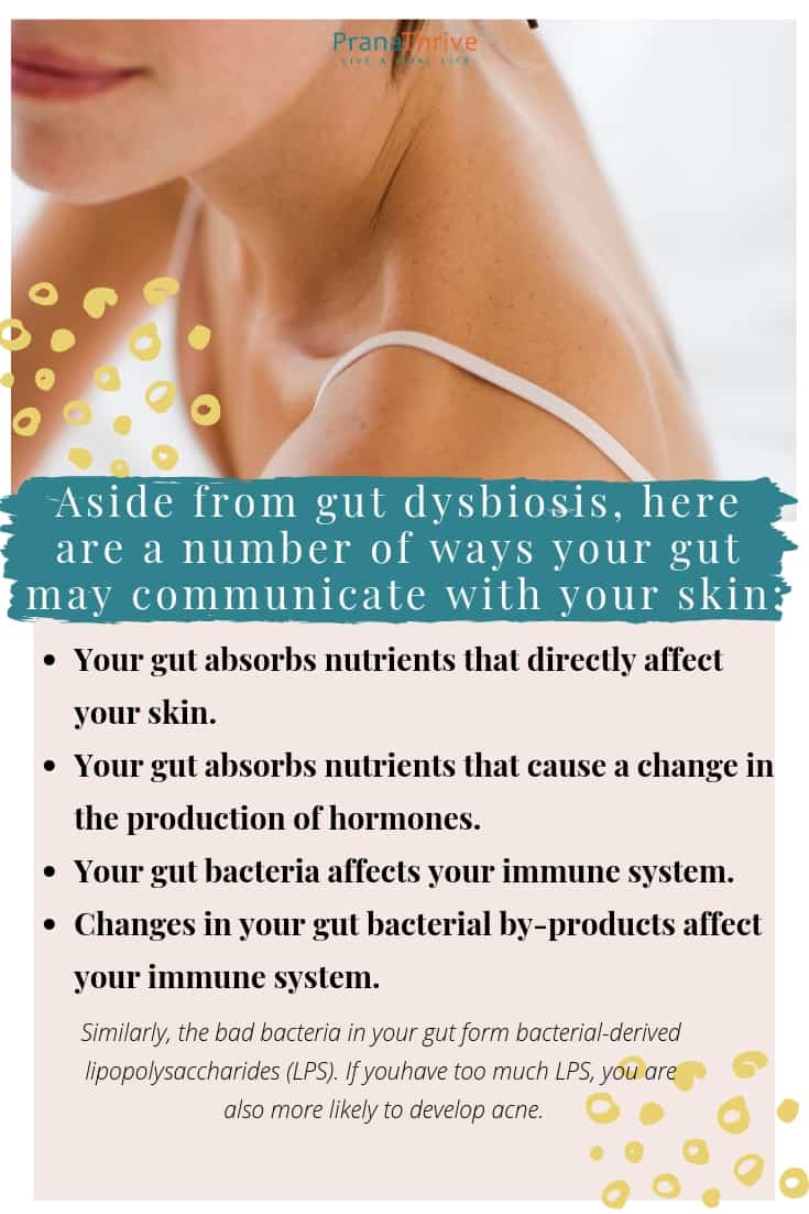 GutSkin Connection (All You Need To Know) Prana Thrive