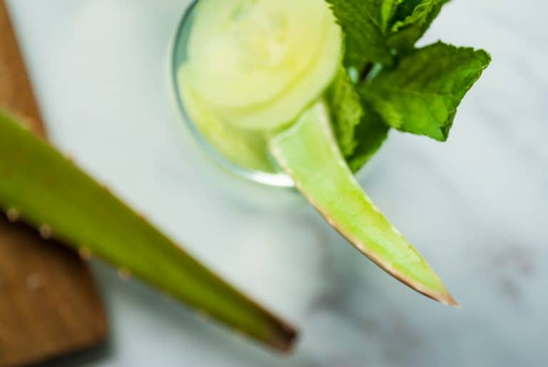 Gut Healing Aloe Vera & Cucumber Juice (w/Benefits Of Aloe) Prana Thrive
