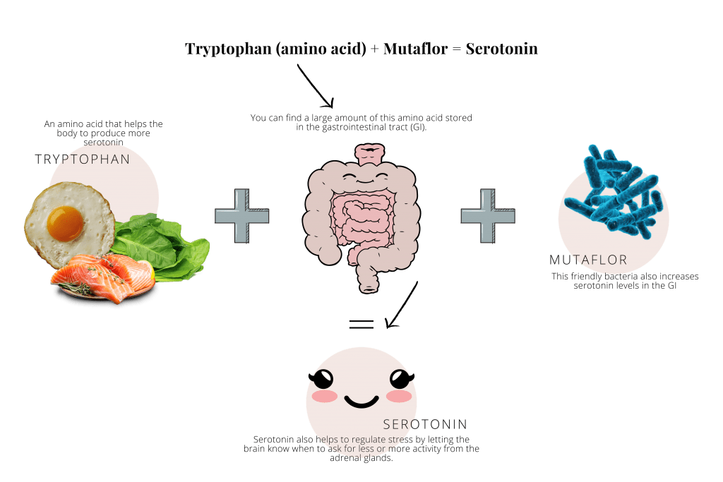 The E-coli Strain &lsquo;Nissle 1917&rsquo; (Mutaflor) A Powerful Probiotic