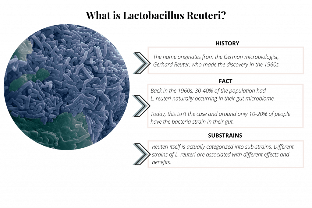 The Vital Role Lactobacillus Reuteri Plays In Your (and Your Babies