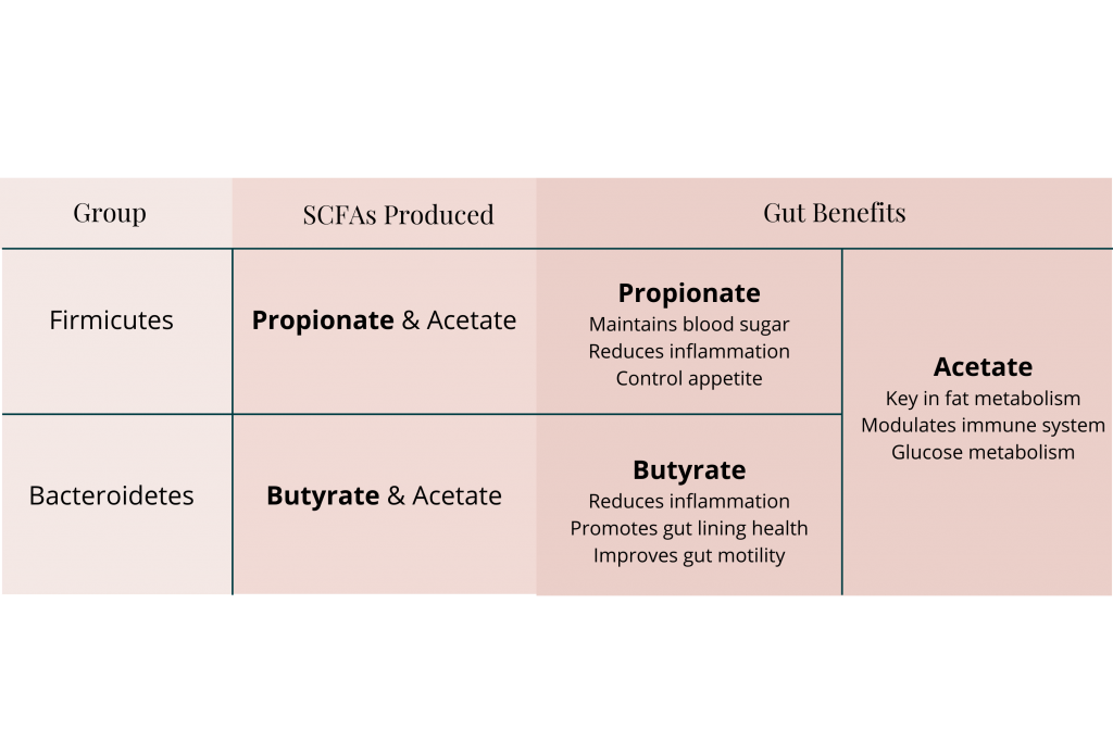 Gut Bacteria And Weight Everything You Need To Know Prana Thrive