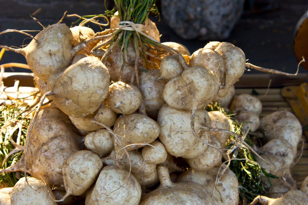 The Ultimate Prebiotic AZ Guide (plus 31 Of The Most Common Prebiotics